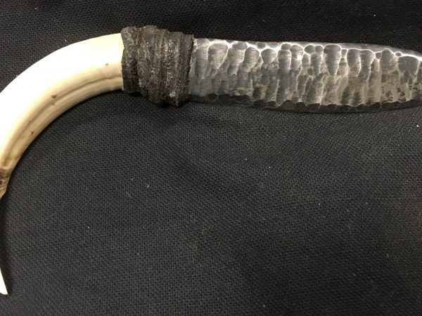 HankCowdog wild hog tusk knife handle with induction forged blade from coil spring